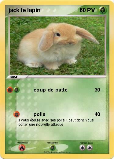 Pokemon jack le lapin