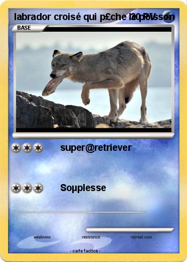 Pokemon labrador croisé qui p£che le poisson