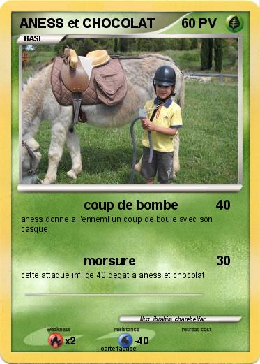 Pokemon ANESS et CHOCOLAT