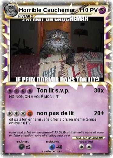Pokemon Horrible Cauchemar