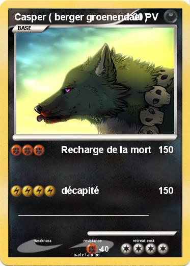 Pokemon Casper ( berger groenendael )