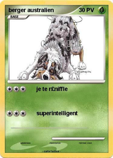 Pokemon berger australien