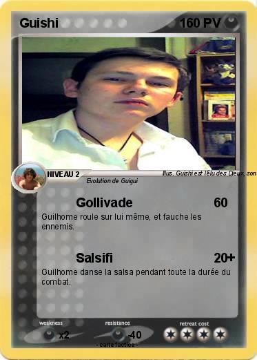Pokemon Guishi