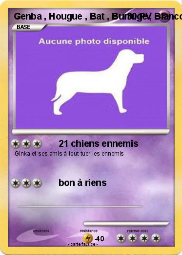 Pokemon Genba , Hougue , Bat , Burruge , Blanco , Hermann , Grace , Renaud , Eliott , Roger , Joséph , Maéva , Juliette ,  Alain , Khan , Rokyu , Hoklu , Cypress , Lucky , Kevin , Joachime , Darko , Fiacre , Ryou et Laurent