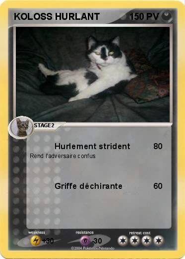 Pokemon KOLOSS HURLANT