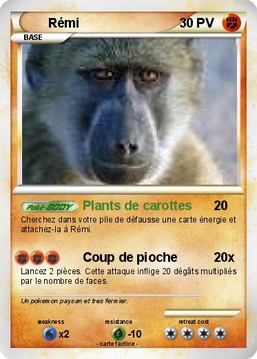 Pokemon Rémi