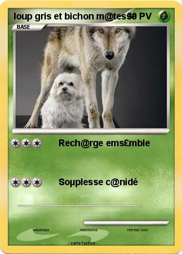 Pokemon loup gris et bichon m@tesse