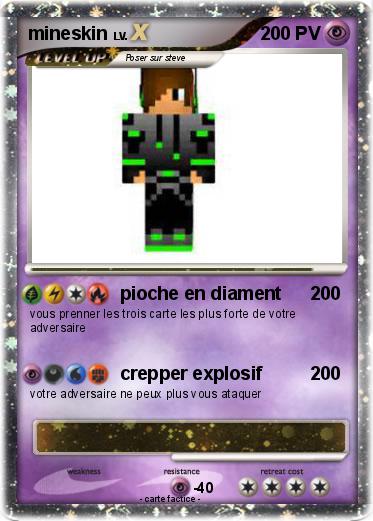Pokemon mineskin