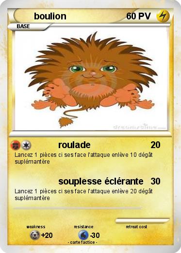 Pokemon boulion