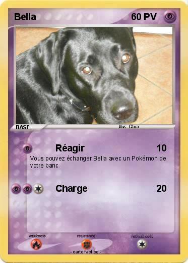 Pokemon Bella
