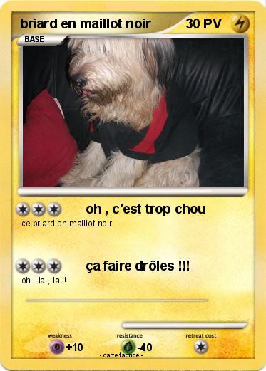 Pokemon briard en maillot noir