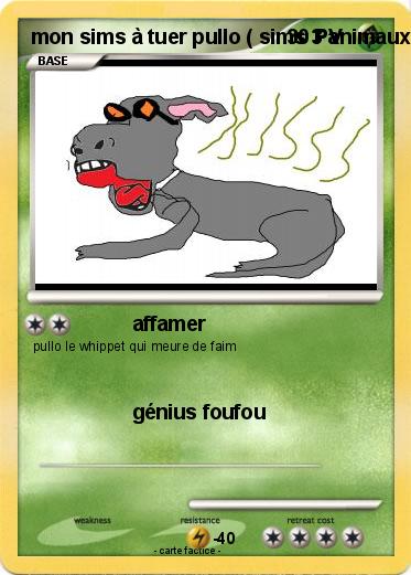 Pokemon mon sims à tuer pullo ( sims 3 animaux & cie 3DS )