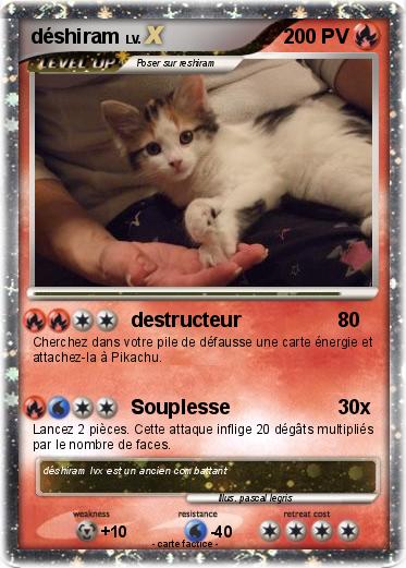 Pokemon déshiram