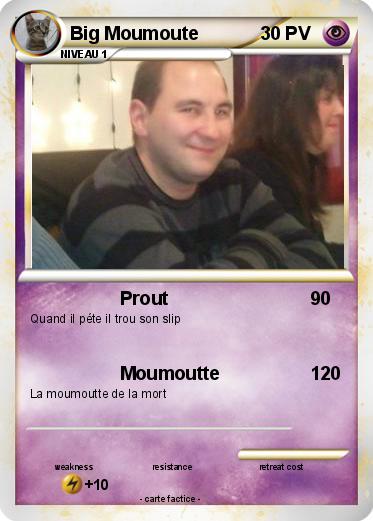 Pokemon Big Moumoute