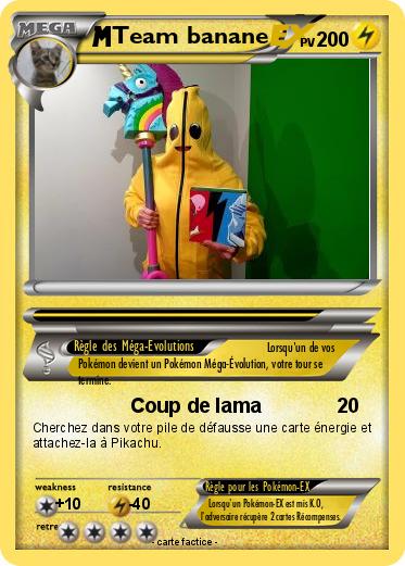 Pokemon Team banane