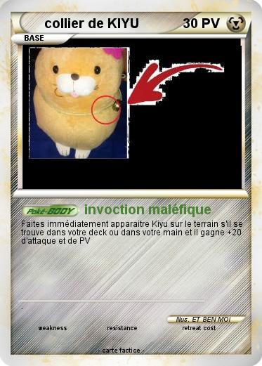 Pokemon collier de KIYU