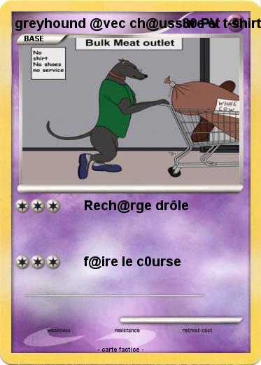 Pokemon greyhound @vec ch@ussure et t-shirt