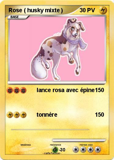 Pokemon Rose ( husky mixte )