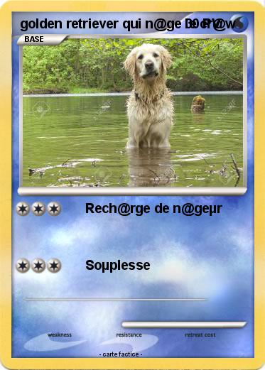 Pokemon golden retriever qui n@ge le cr@w Pokemon golden retriever qui n@ge le cr@w