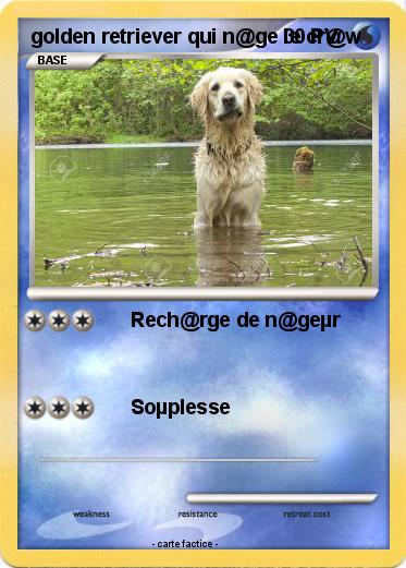 Pokemon golden retriever qui n@ge le cr@w