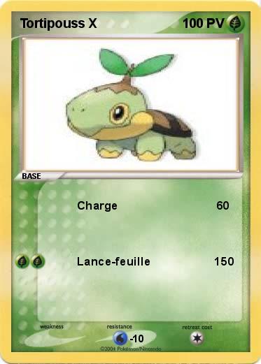 Pokemon Tortipouss X
