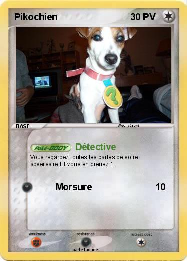 Pokemon Pikochien