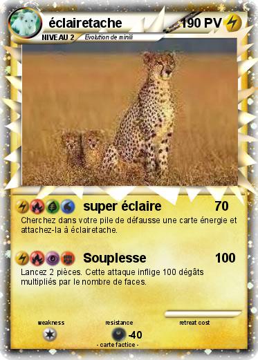Pokemon éclairetache