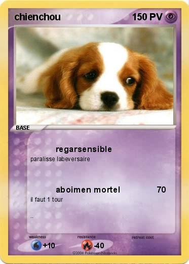 Pokemon chienchou