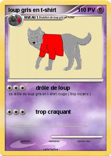 Pokemon loup gris en t-shirt