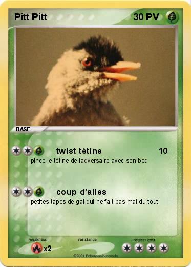 Pokemon Pitt Pitt 