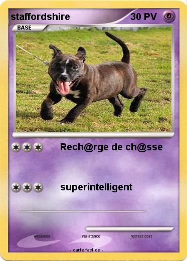 Pokemon staffordshire
