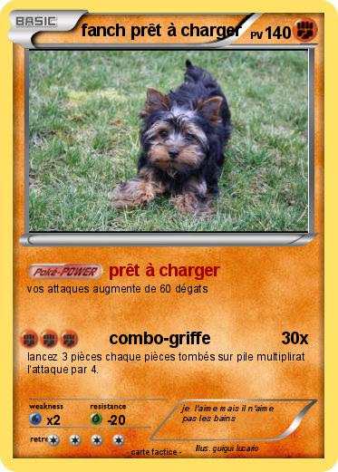 Pokemon fanch prêt à charger