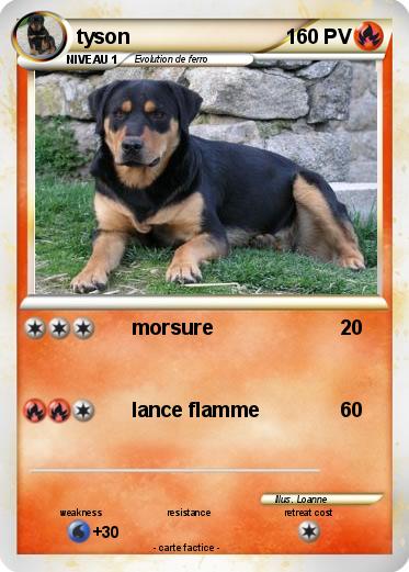 Pokemon tyson