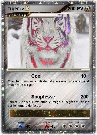 Pokemon Tiger