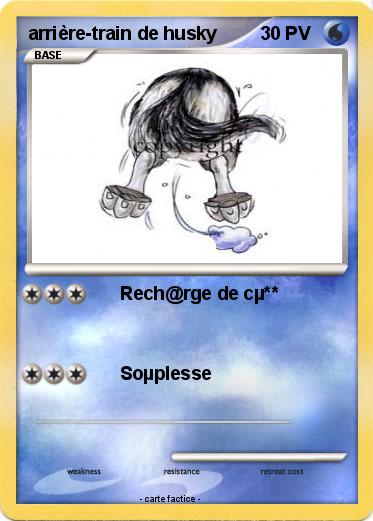 Pokemon arrière-train de husky