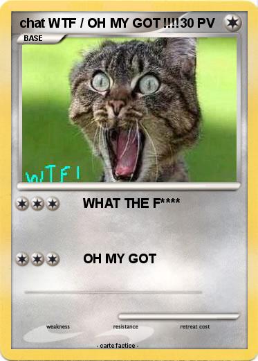 Pokemon Chat Wtf Oh My Got