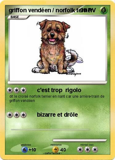 Pokemon griffon vendéen / norfolk terrier