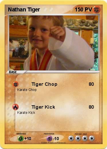 Pokemon Nathan Tiger