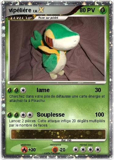 Pokemon vipéliére
