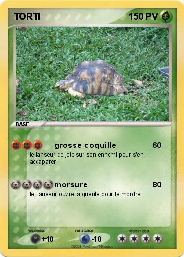 Pokemon TORTI