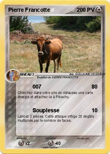 Pokemon Pierre Francotte
