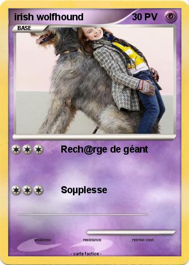 Pokemon irish wolfhound