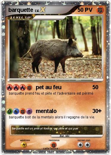 Pokemon barquette