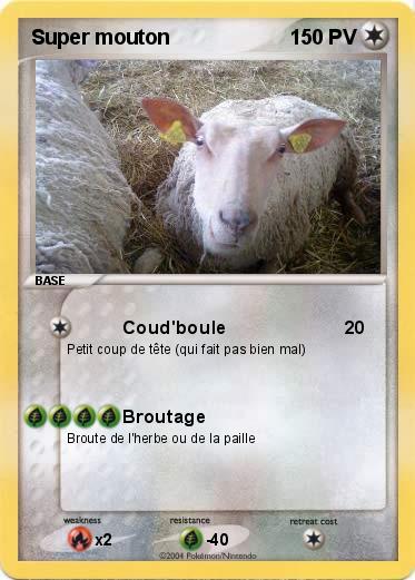 Pokemon Super mouton