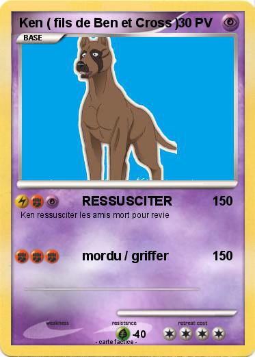 Pokemon Ken ( fils de Ben et Cross )