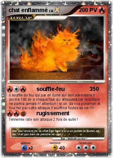 Pokemon chat enflammé