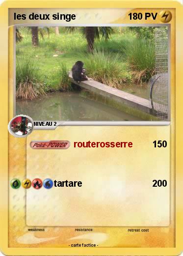 Pokemon les deux singe