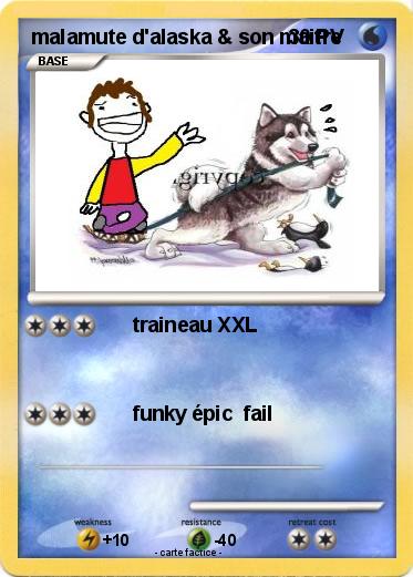 Pokemon malamute d'alaska & son maitre