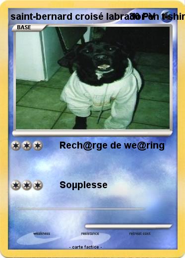 Pokemon saint-bernard croisé labrador en t-shirt