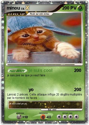 Pokemon minou